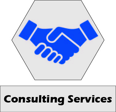 Consulting Services